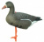 Чучело гуся "Белолобый Сторожевой" объемный ПВХ, LC 940